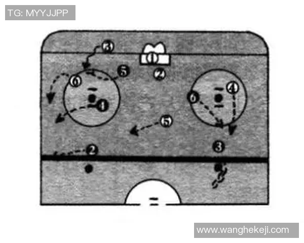 广州排球队区域防守战术解析与深度剖析