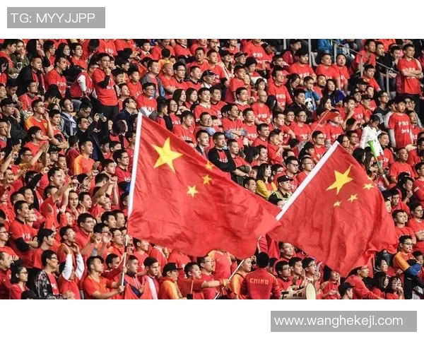 探索SKN足球的魅力与发展历程,揭示其在全球足球舞台上的崛起之路